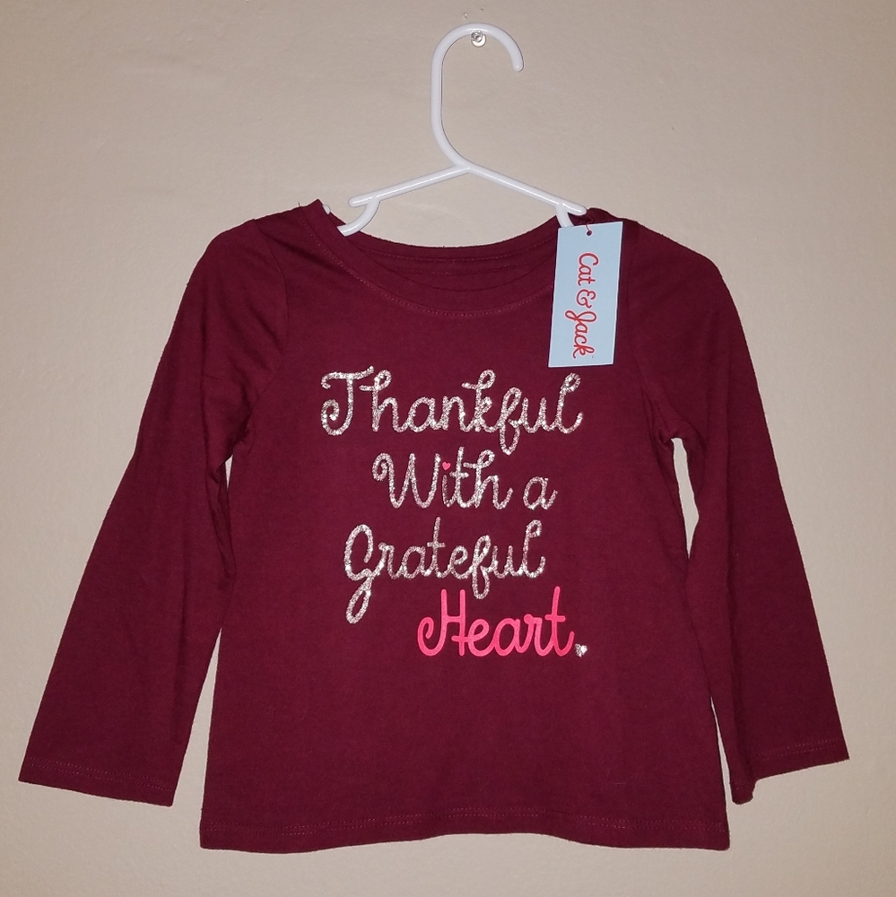 New! Girl's Cat & Jack Thankful long Sleeve Size 2T